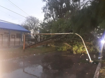 temporal-villa-escolar.jpg