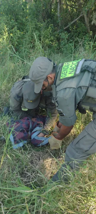 Gendarmes rescatan a un oso melero que se encontraba atrapado en un incendio  (3).jpeg