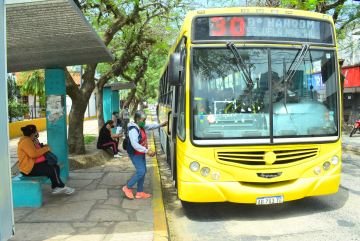 colectivos.jpg