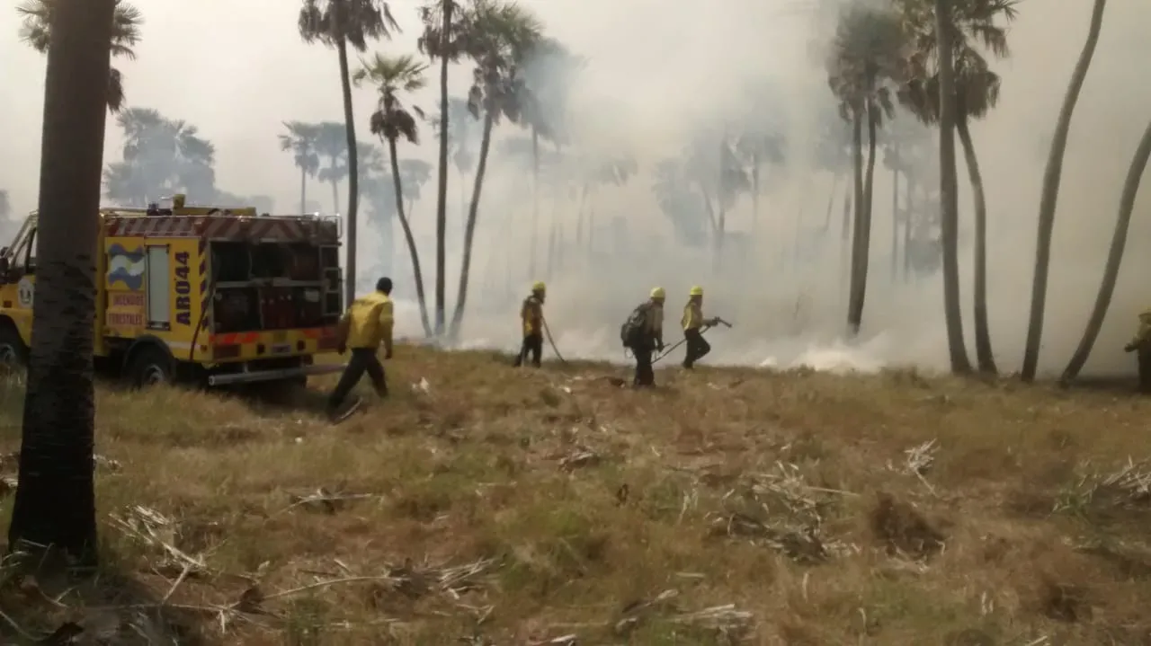incendios5.jpg