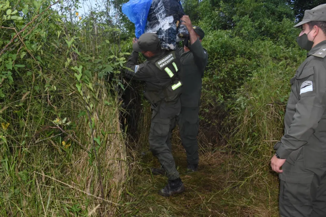Gendarmes detectan m_s de 229 kilos de marihuana acopiadas entre la maleza (3).jpeg