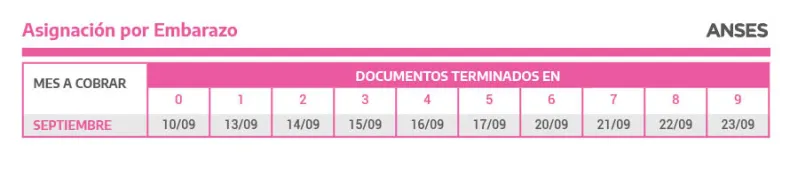 Asignación por Embarazo.jpg