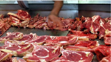 CARNE.jpg