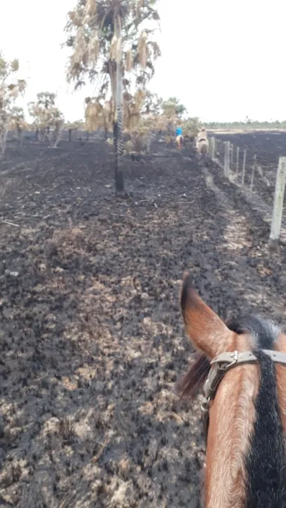 incendios12.jpg