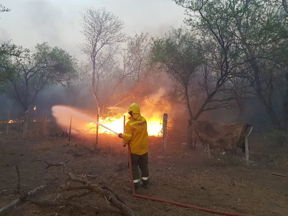 incendios9.jpg