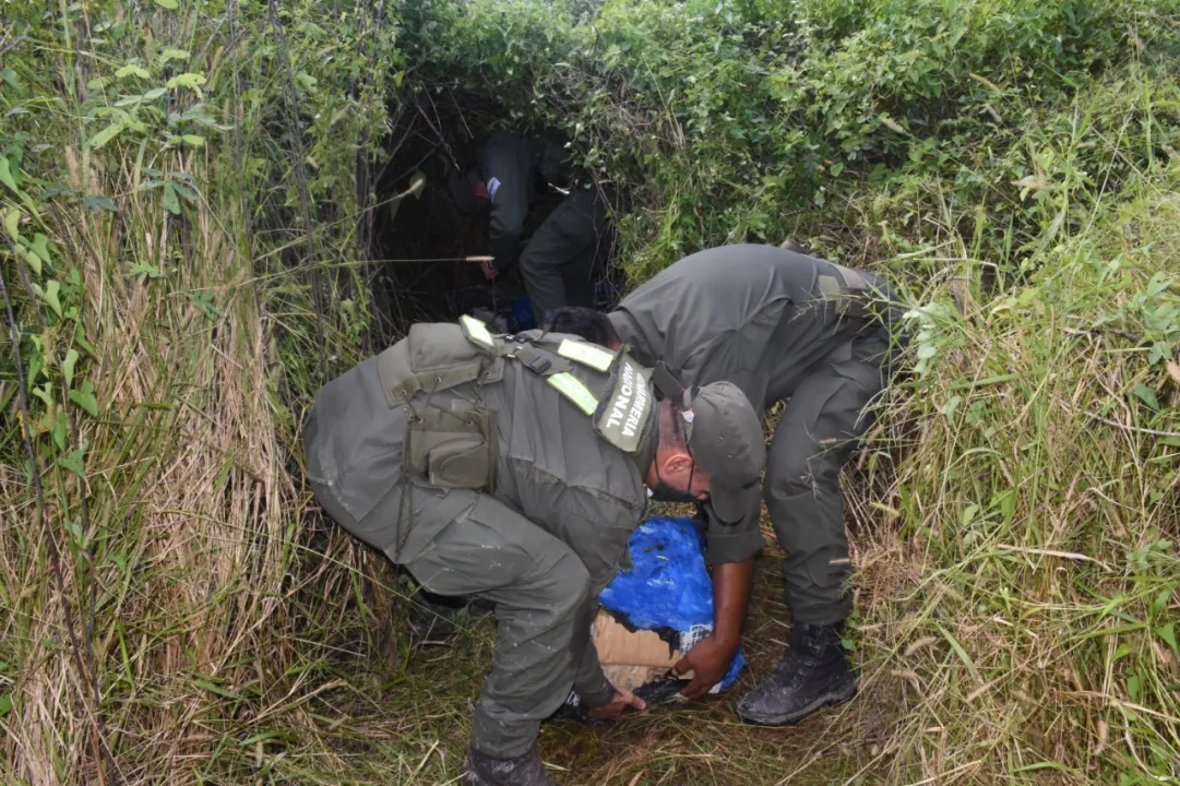 Gendarmes detectan m_s de 229 kilos de marihuana acopiadas entre la maleza (4).jpeg