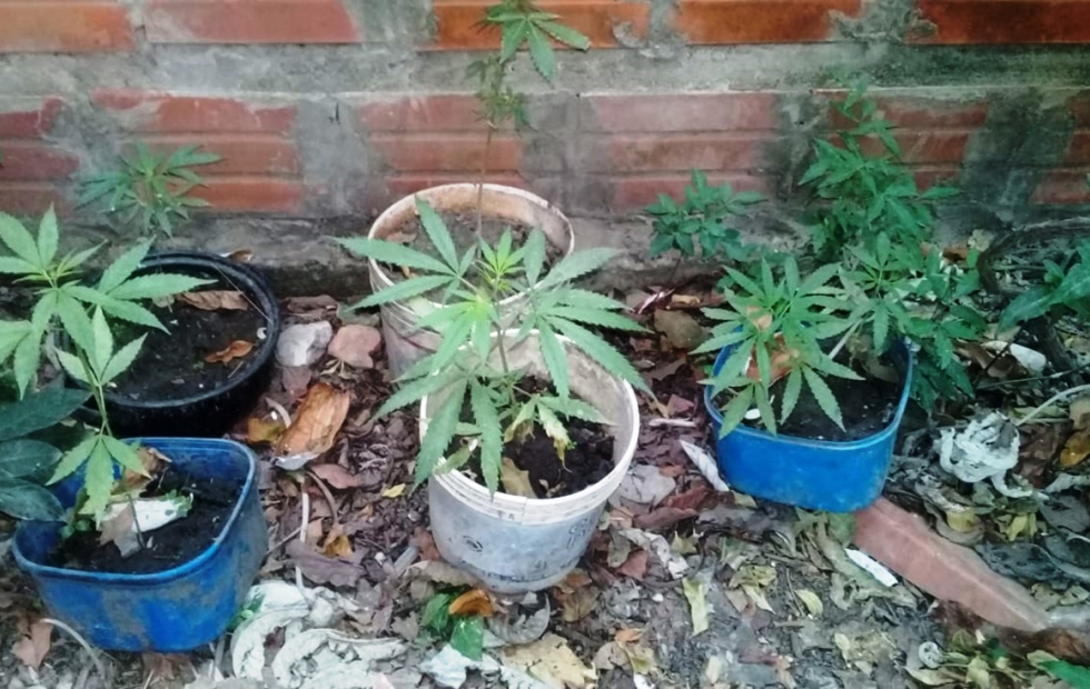 La Policía detuvo a dos sujetos y tras allanamientos recupero bienes sustraídos y secuestro ocho plantines de marihuana