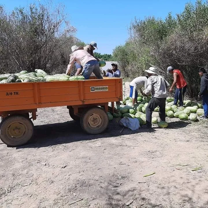 juarez1.jpg