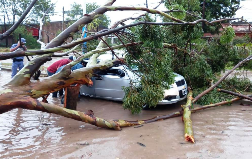 Un árbol cayó sobre un auto y sus dos ocupantes terminaron heridas