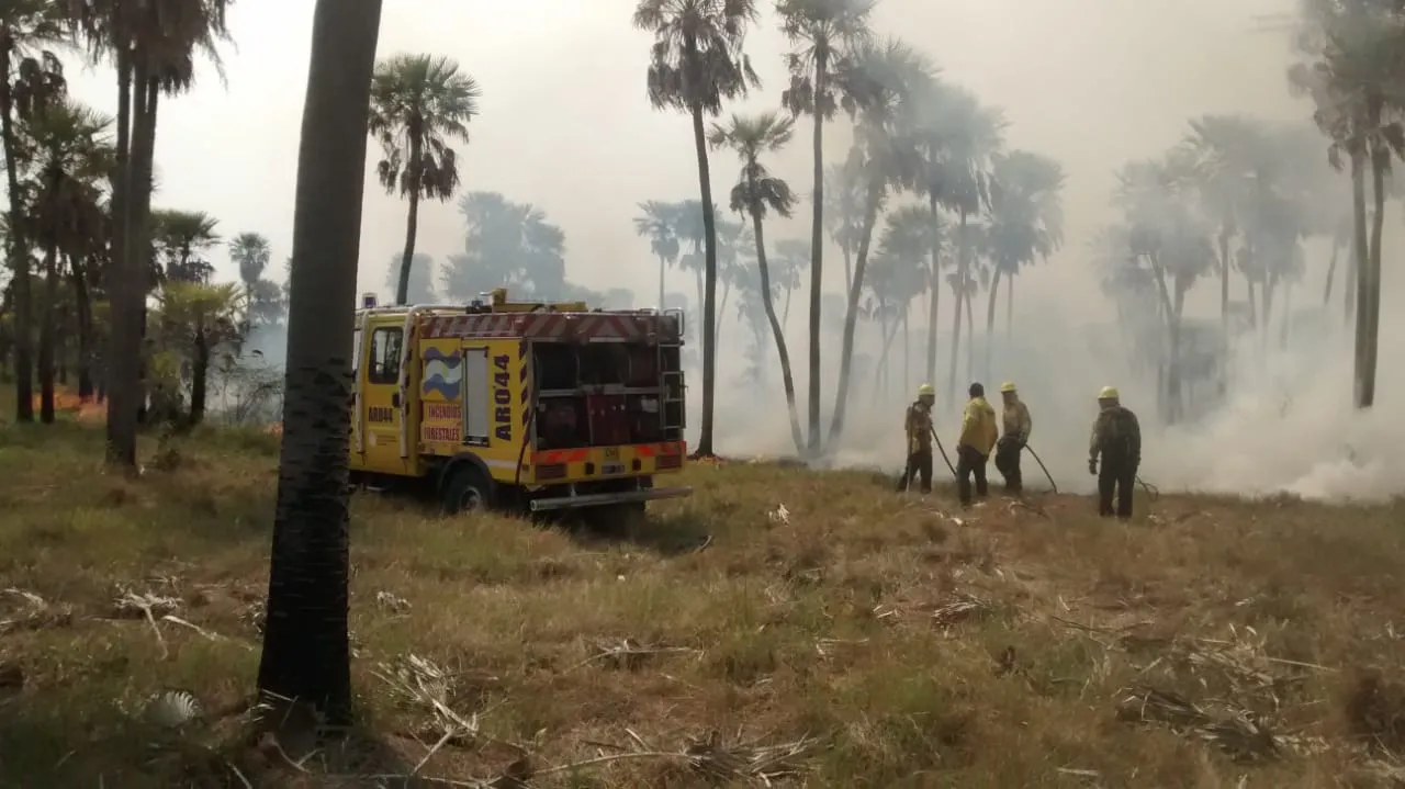 incendios4.jpg