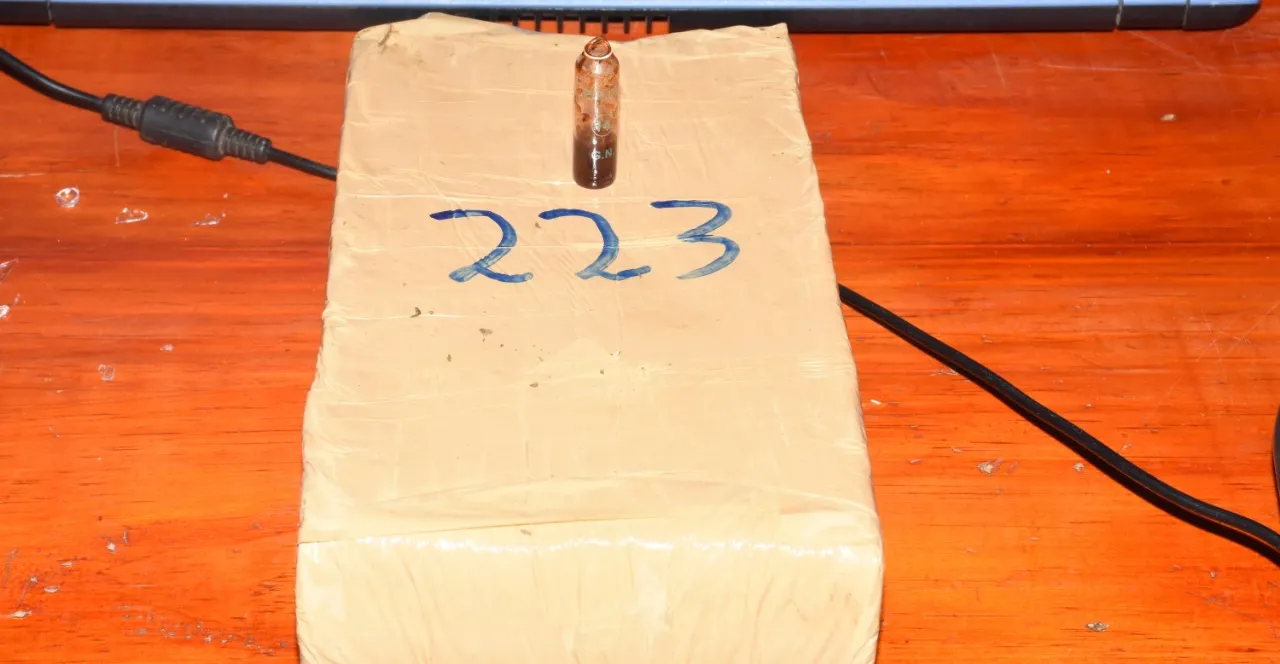 Gendarmes detectan m_s de 229 kilos de marihuana acopiadas entre la maleza (5).jpeg