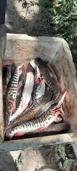 Controles de prevención de caza y pesca furtiva (12).jpg