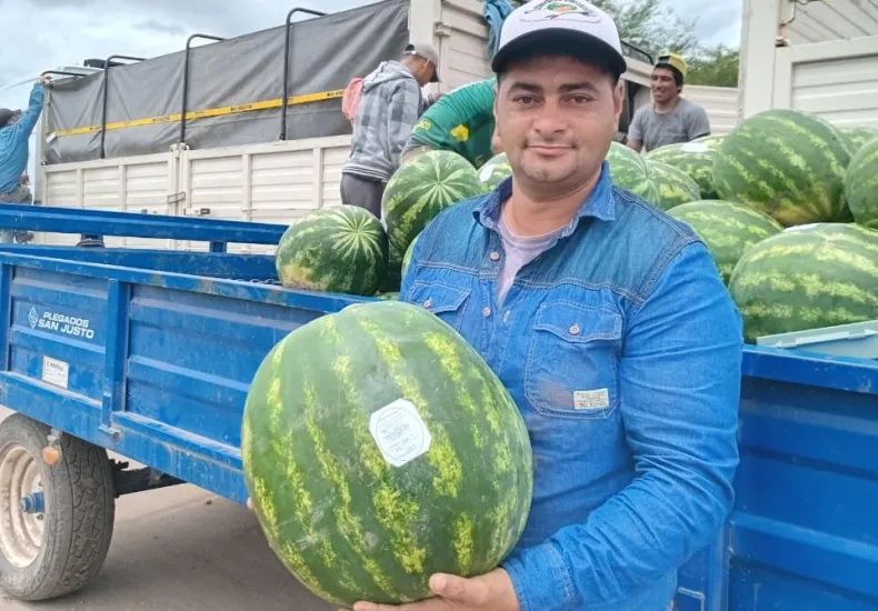 No pedimos subsidios, solo que nos dejen exportar