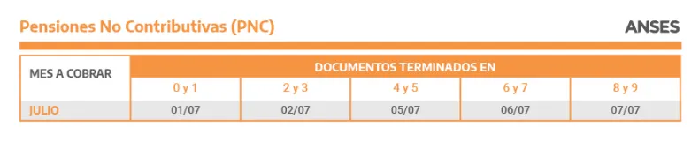 Pensiones No Contributivas.png