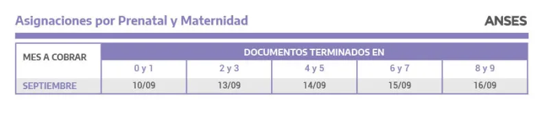 Asignaciones por Prenatal y Maternidad.jpg
