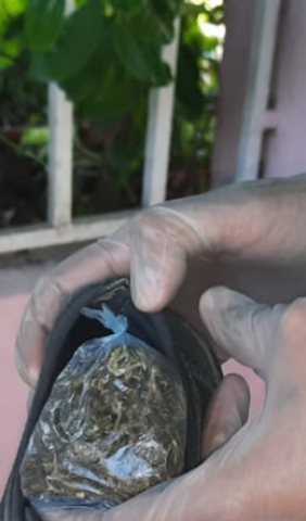 secuestro marihuana.jpg