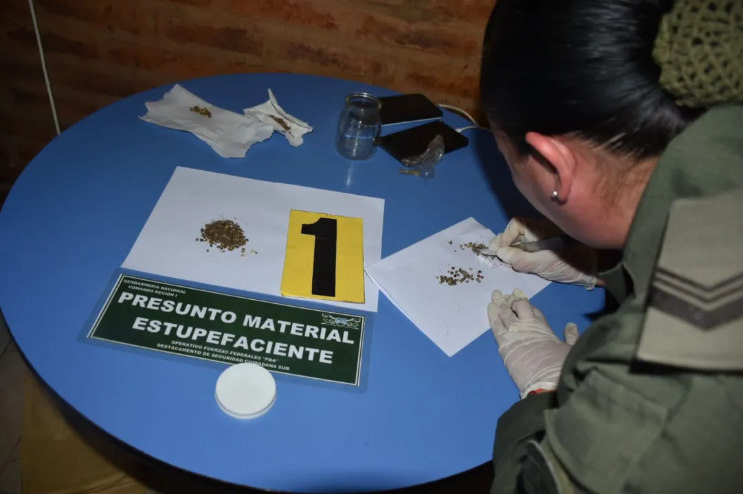 Desbaratan parte de una organización narcocriminal y secuestran 786 kilos de marihuana (6).jpeg