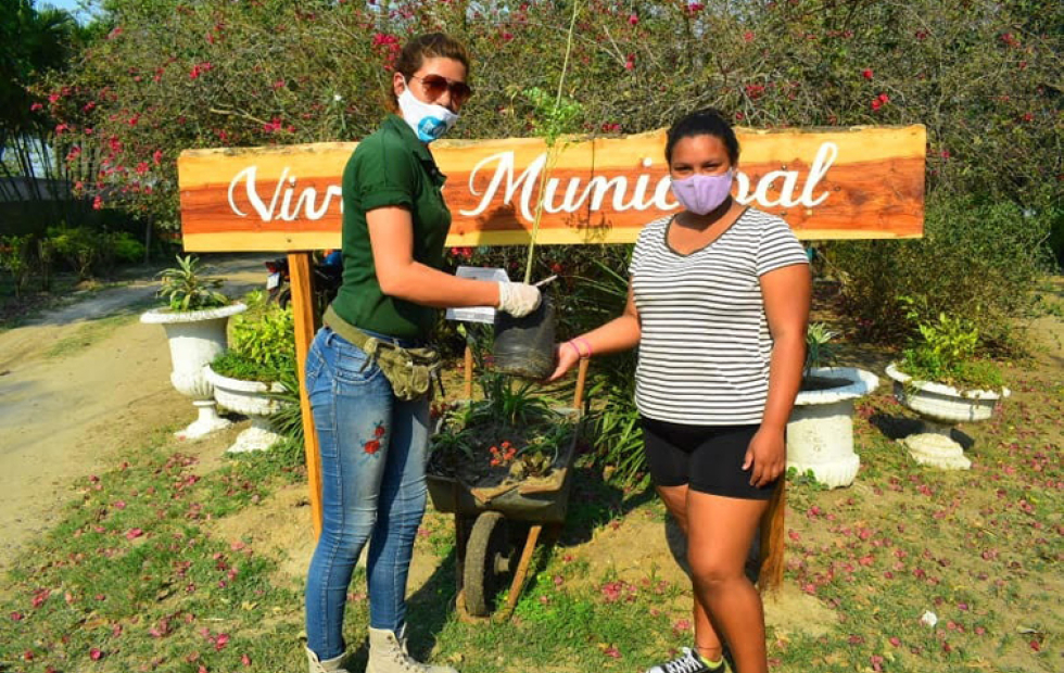 Continúa la entrega de plantines en el vivero municipal
