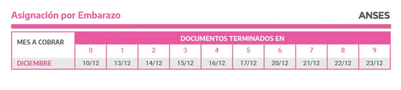 Asignacion por Embarazo.jpg