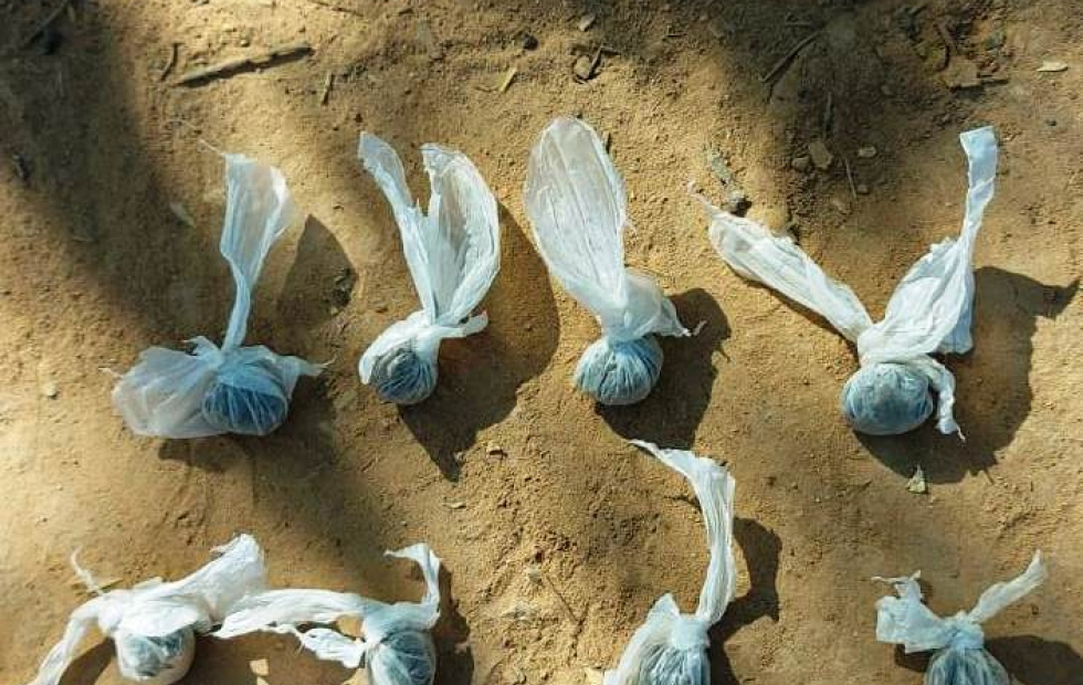 Un hombre fue demorado con varios gramos de marihuana