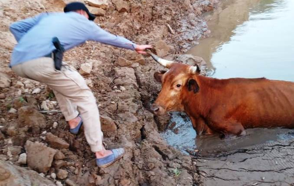 “El Estado está ausente acá, la tendencia es que el pequeño productor desaparezca”
