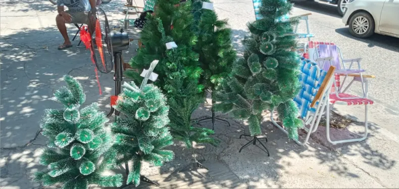 ARBOLITO 2.JPG