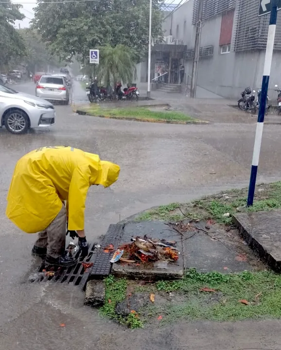 Servicios3.jpg