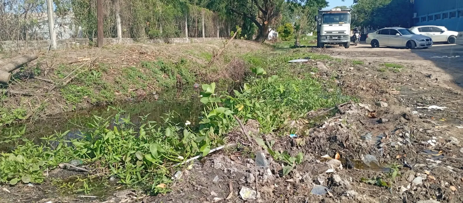 basura4.jpg