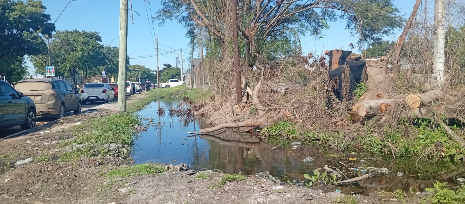 basura3.jpg