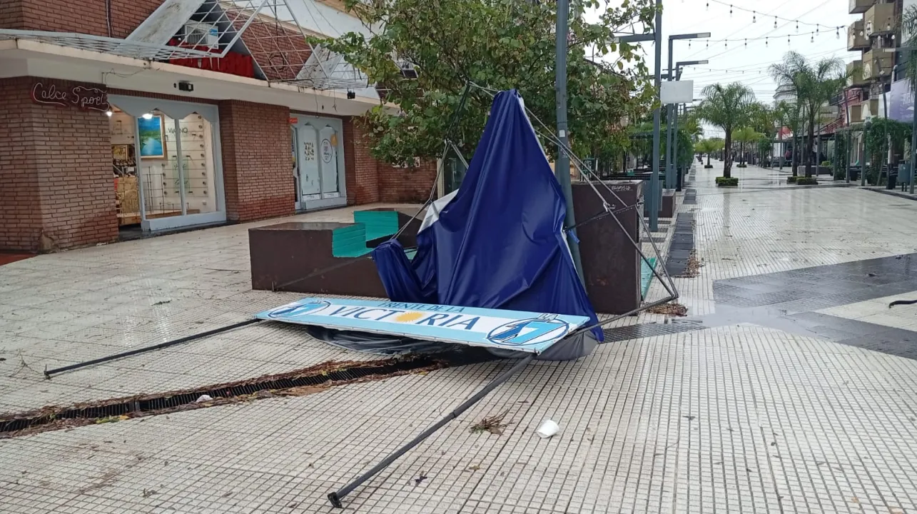 caido3.jpg