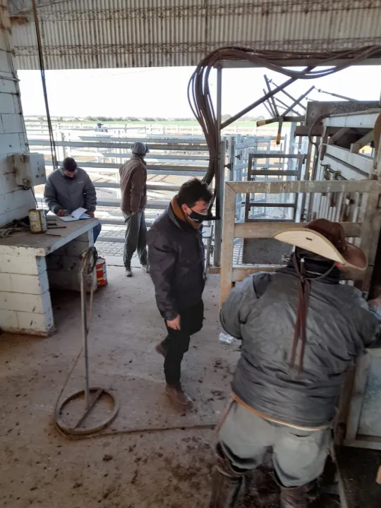 ESTABLECIMIENTO AGROPECUARIO.jpg