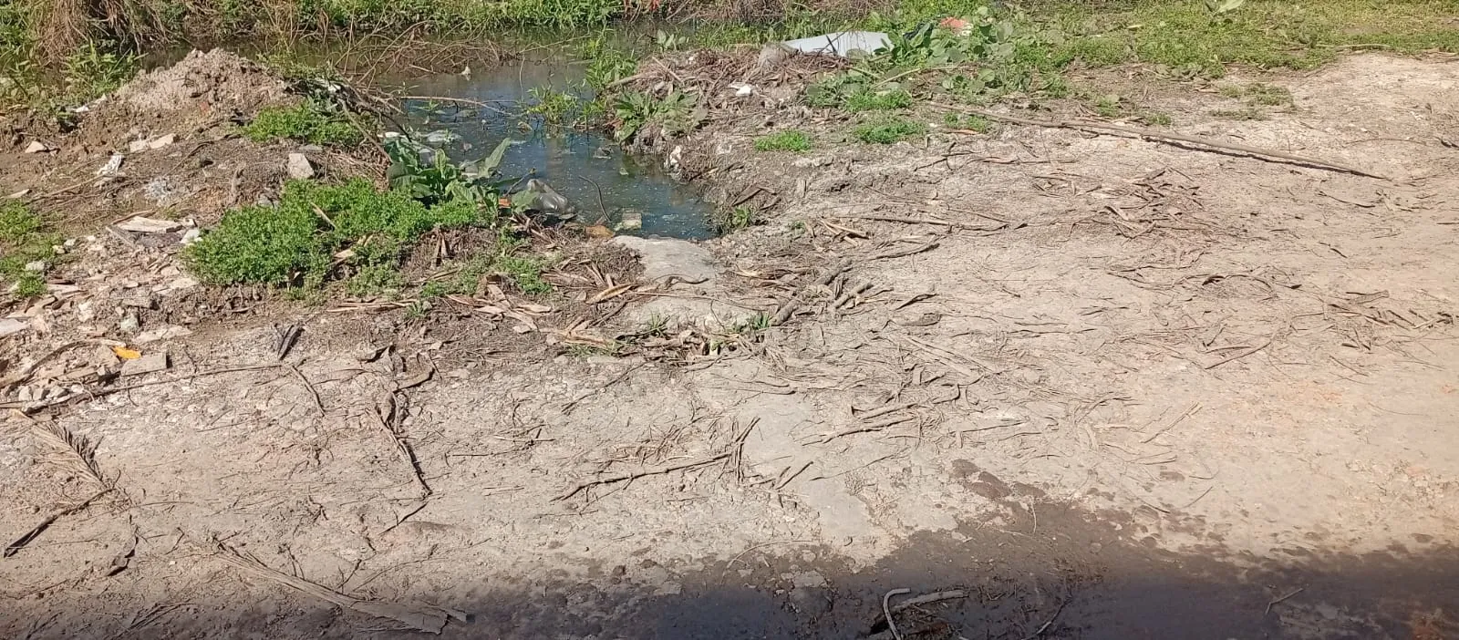 basura2.jpg
