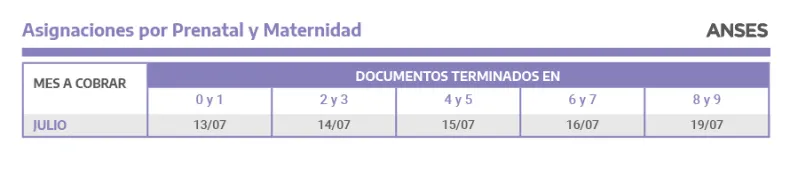 Asignaciones por Prenatal y Maternidad.png