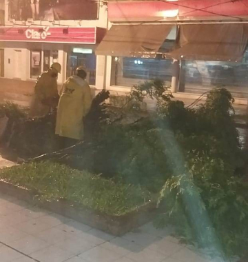 COMANDO DE EMERGENCIA 5.jpeg