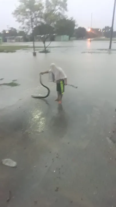 jugandoconserpiente.jpg