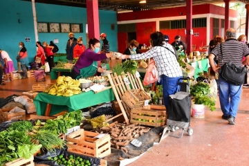 feriaspaippa3 (1).jpg