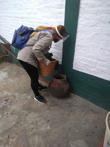 TRABAJOS DENGUE IBARRETA (3).jpg
