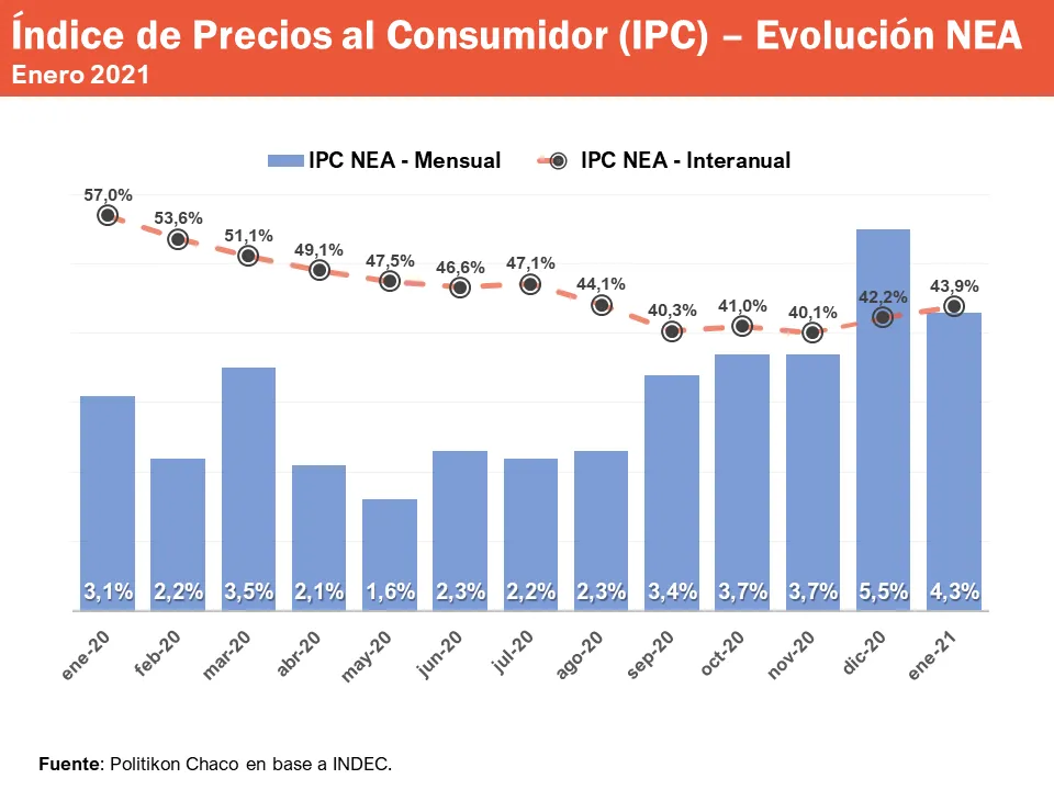 IPCNEA-enero-2021 (2).PNG