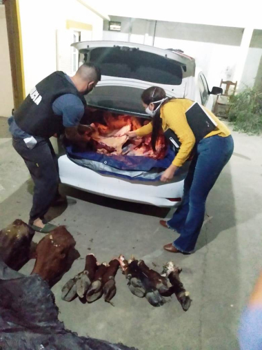 Dos sujetos transportaban 341 kilos de carne vacuna (1).jpg