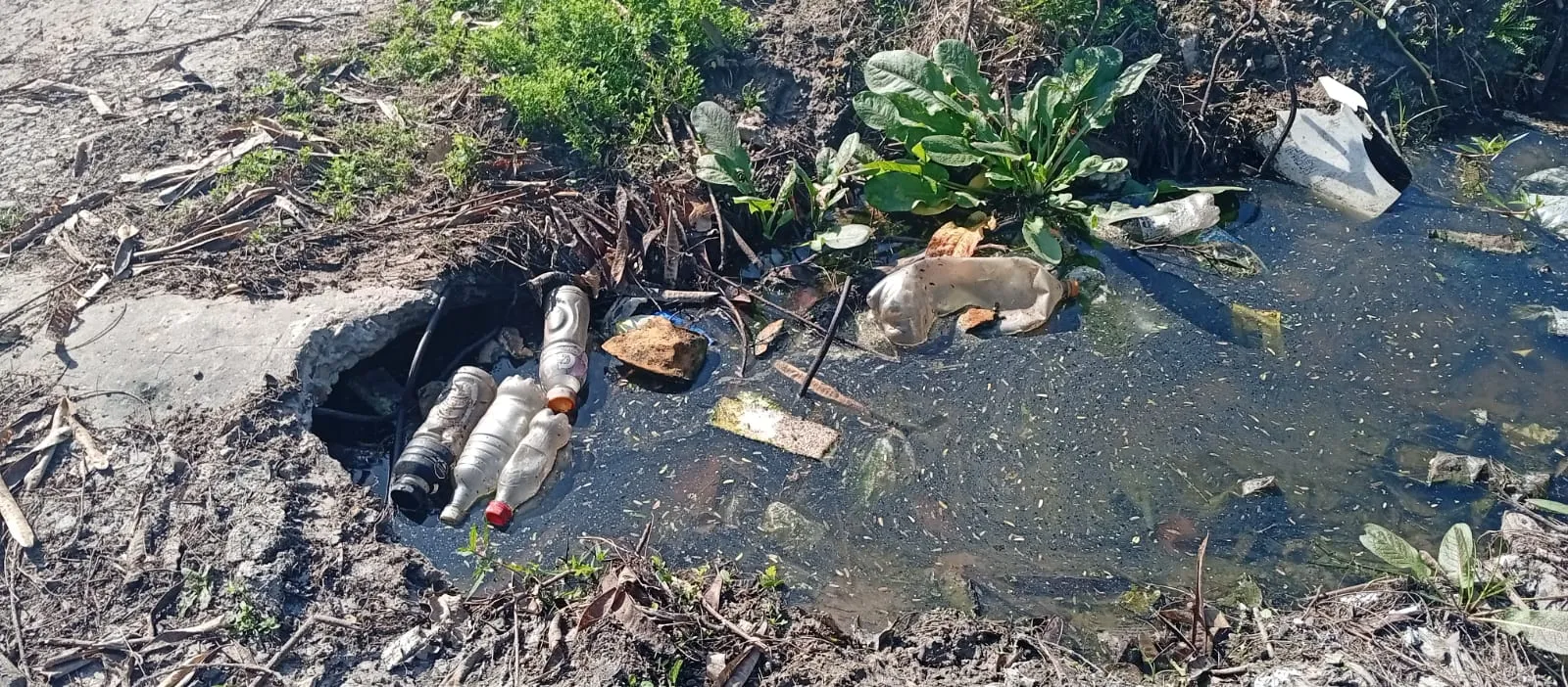 basura1.jpg