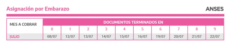 Asignación por Embarazo.png