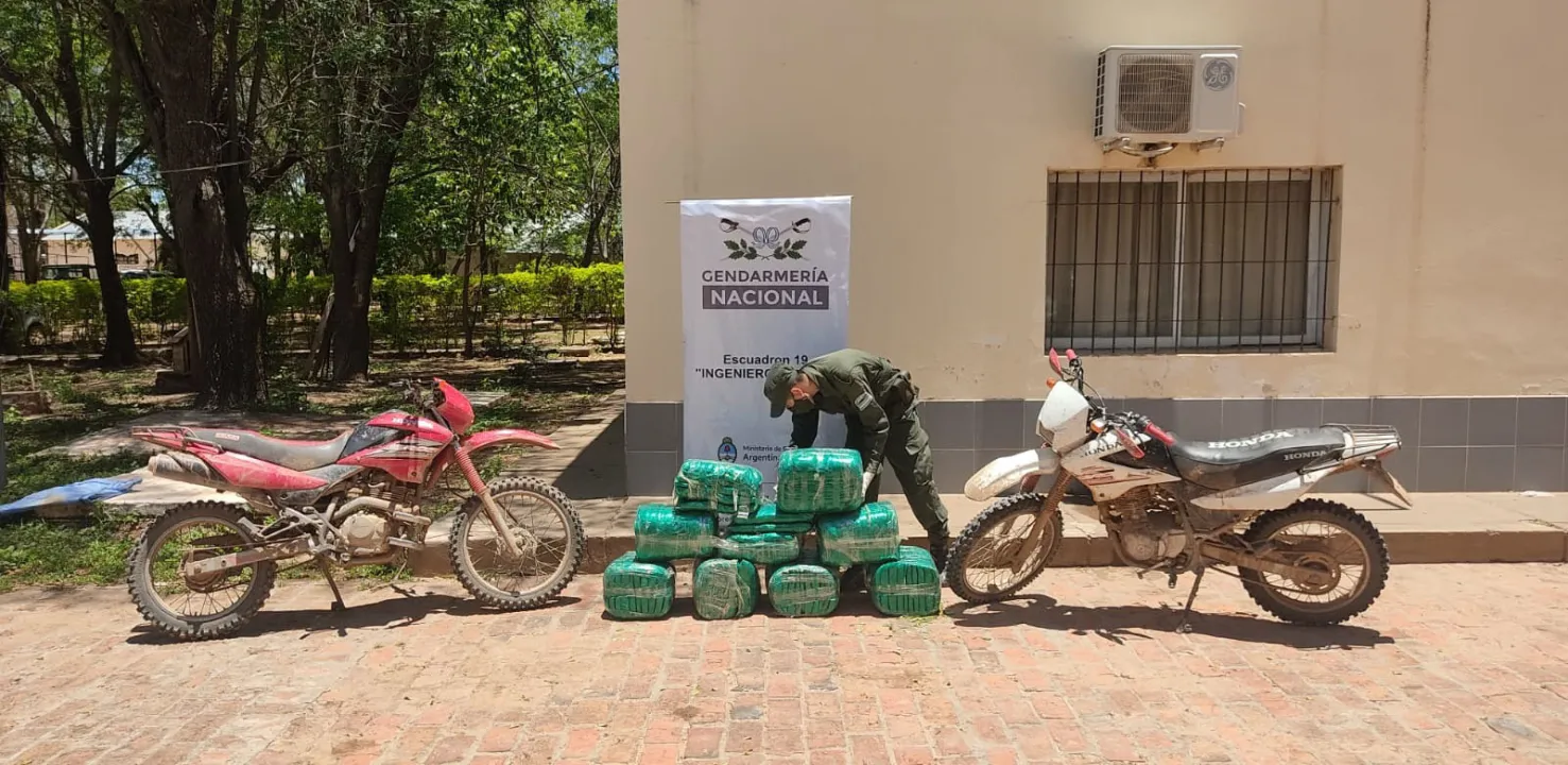 HOJAS DE COCA-FORMOSA-80 KILOS HOJAS DE COCA (2).jpeg