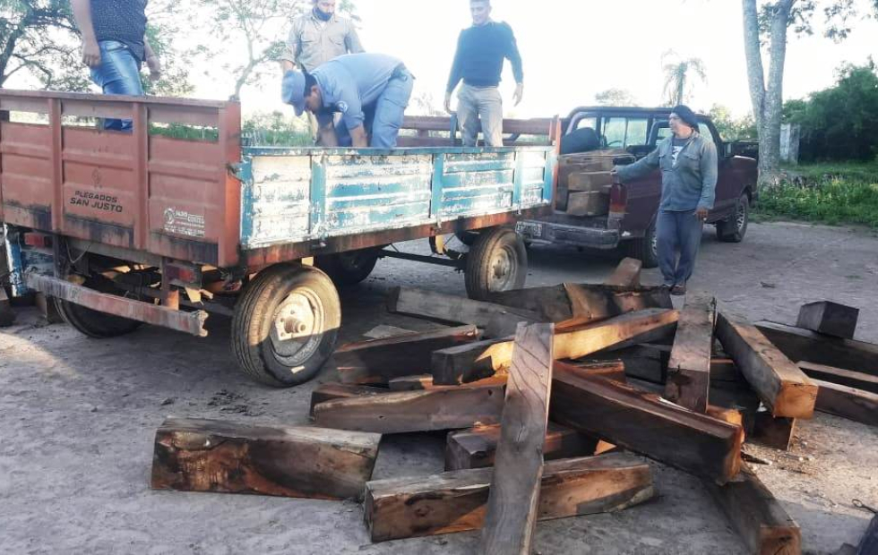 Secuestran maderas de algarrobo por no contar con la documentación exigible para el transporte