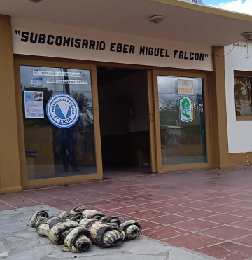 Secuestro Operativo Zona El Mangal (3).jpg