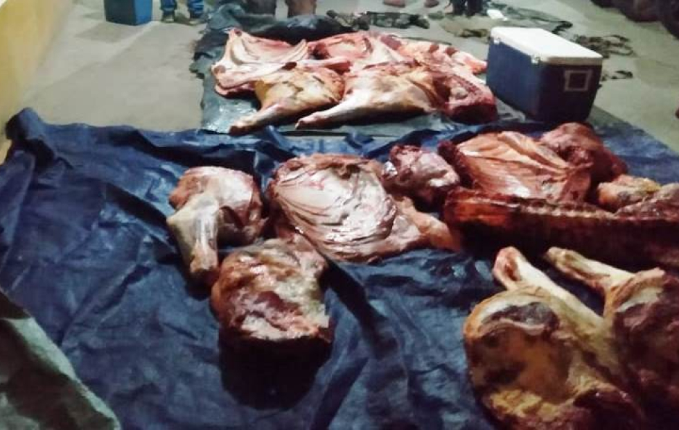 Dos sujetos transportaban 341 kilos de carne vacuna en un auto y fueron detenidos