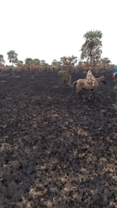 incendios13.jpg
